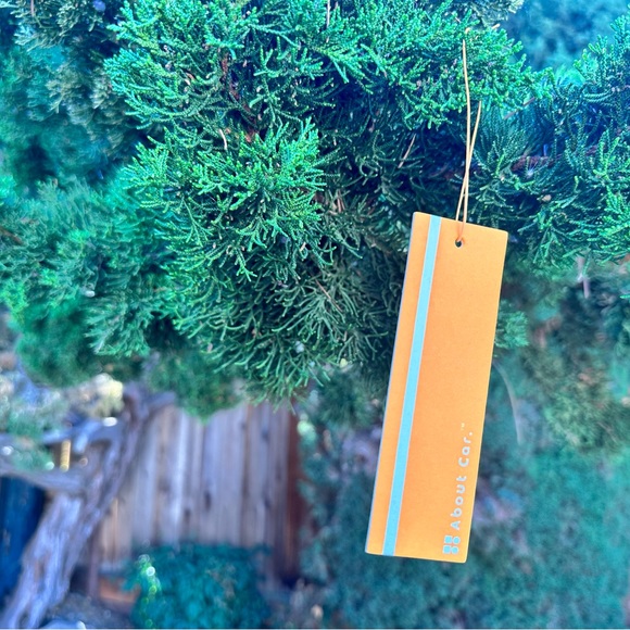 About Car Air Freshener | 24 Count (Pack of 1) | Amber Aura - Picture 1 of 4